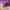 Screenshot_2021-03-08-08-37-18-61
